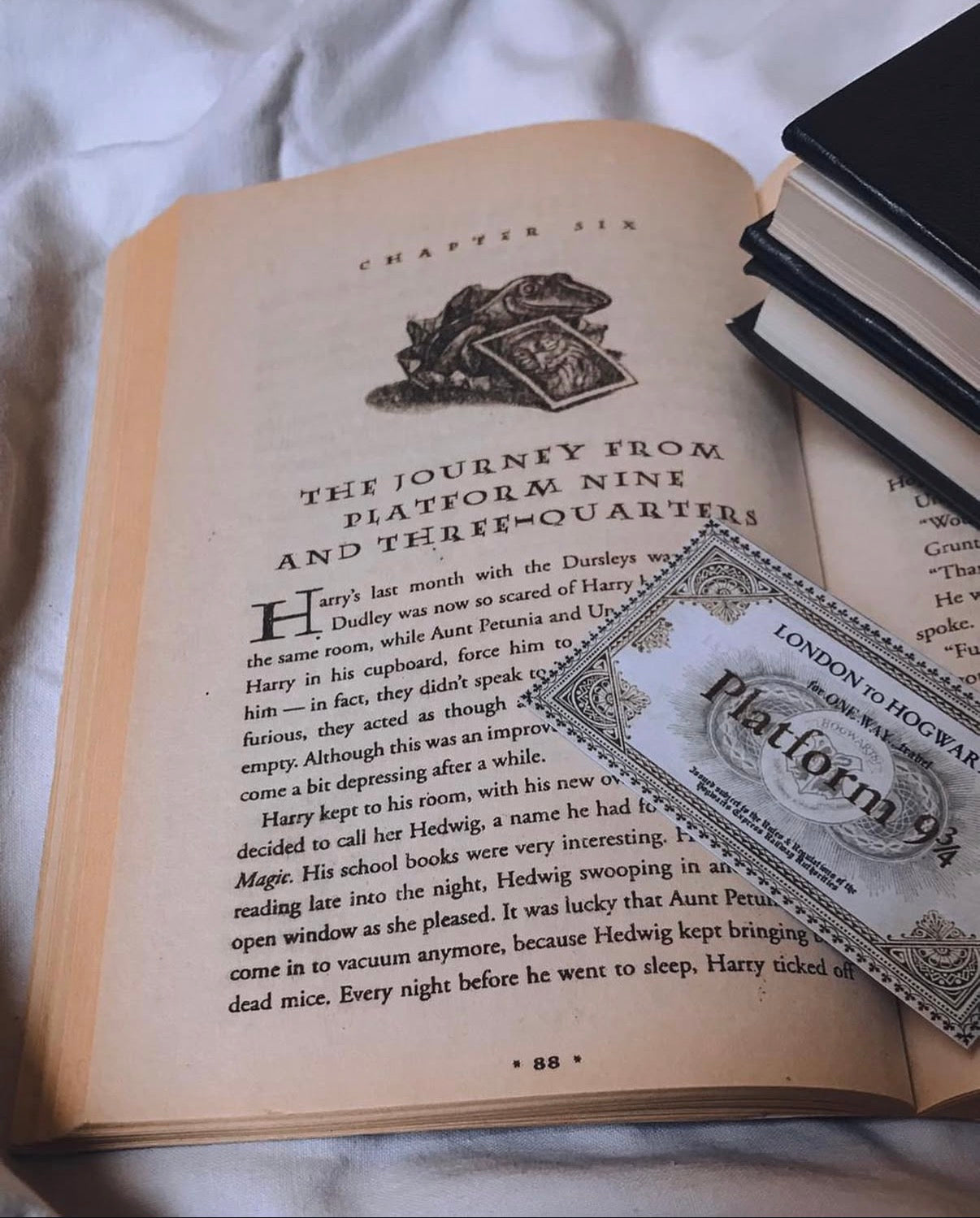 Harry Potter Mystery Box