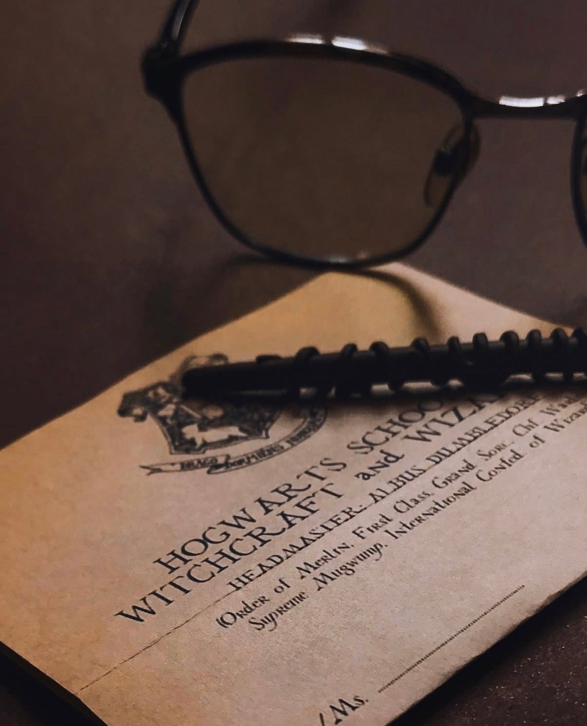 Harry Potter Mystery Box